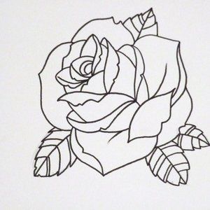 Meet your Posher, Caitlin